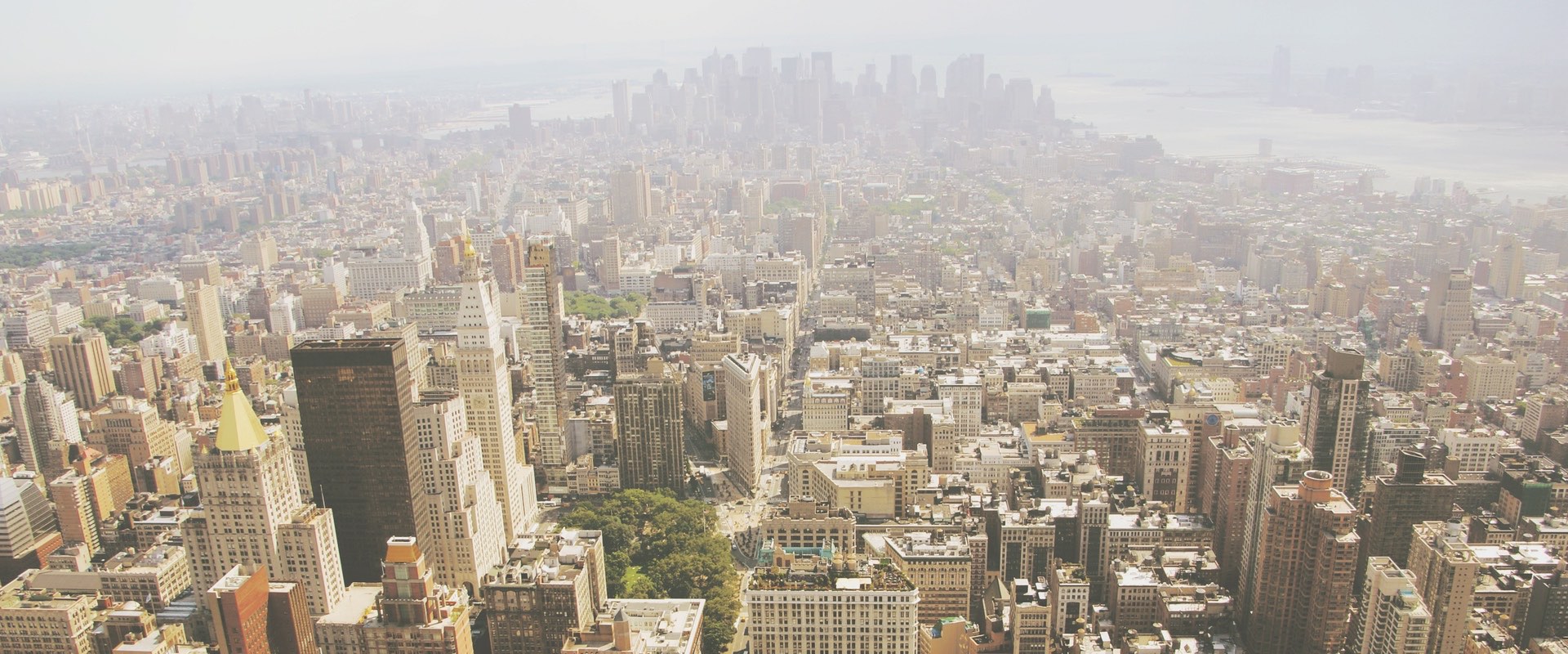 5 Lessons I Learned from My UN Job | Neema Amadala and Florian Neubauer |  tbd.community