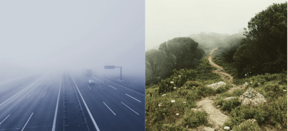 Autobahn und Wald