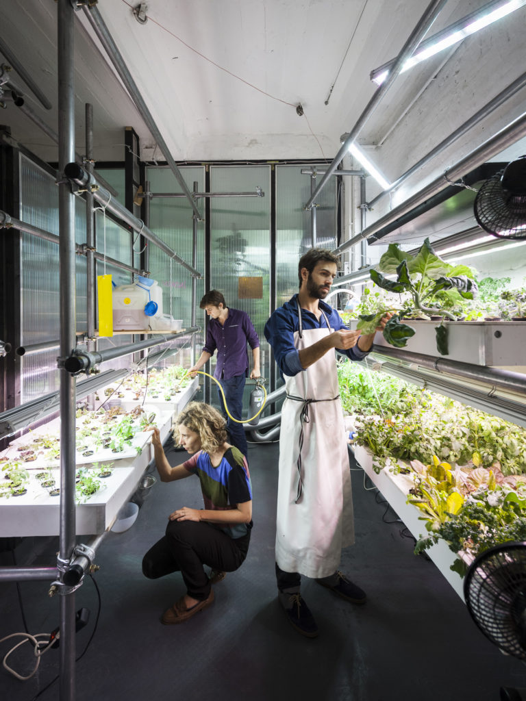 Growing plants at Infarm, an indoor farm in Berlin, Germany