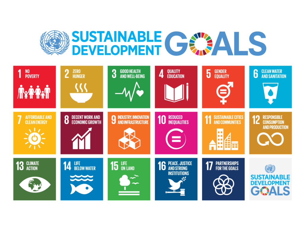 The UN Sustainable Development Goals