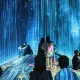Digital Society inclusion