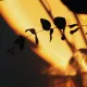 Negative Grundüberzeugungen und Glaubenssätze