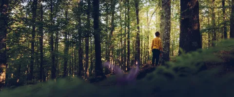 Person standing in the woods