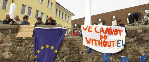 Pro European Protesters