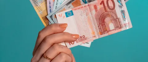 Hand hält verschiedene Euroscheine hoch