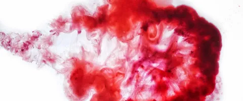 Menstruationsblut via Vulvani