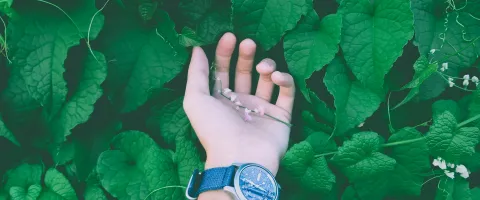Nature, Hand, Health