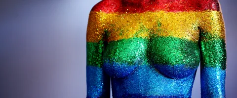 Torso with LGBT Rainbow Colors