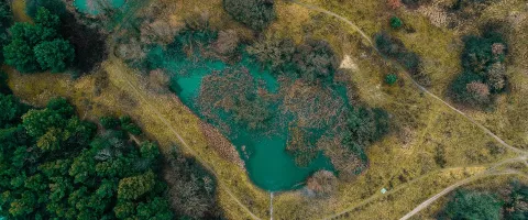 Kleiner Teich von oben