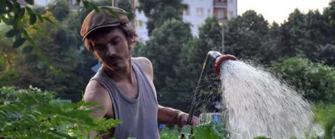 Urban-Gardening-Deutschland