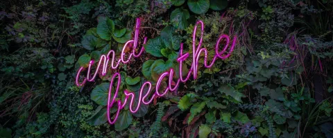 and breathe neon sign