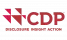 	CDP Worldwide (Europe) gGmbH