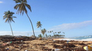 Plastikmüll an einem tropischen Strand