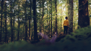 Person standing in the woods