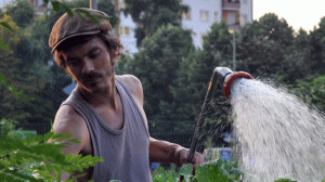 Urban-Gardening-Deutschland