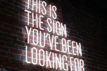 Purpose-Driven Career