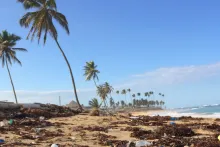 Plastikmüll an einem tropischen Strand