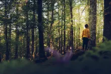 Person standing in the woods