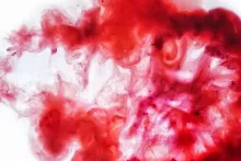 Menstruationsblut via Vulvani