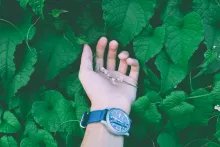 Nature, Hand, Health