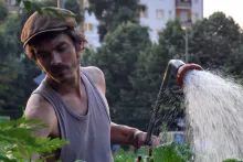 Urban-Gardening-Deutschland