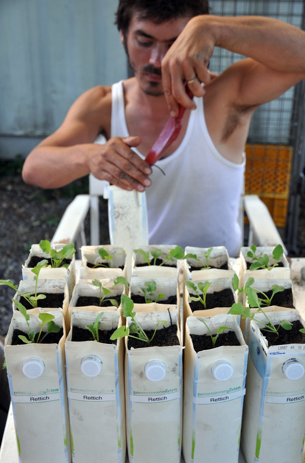 urban-gardening